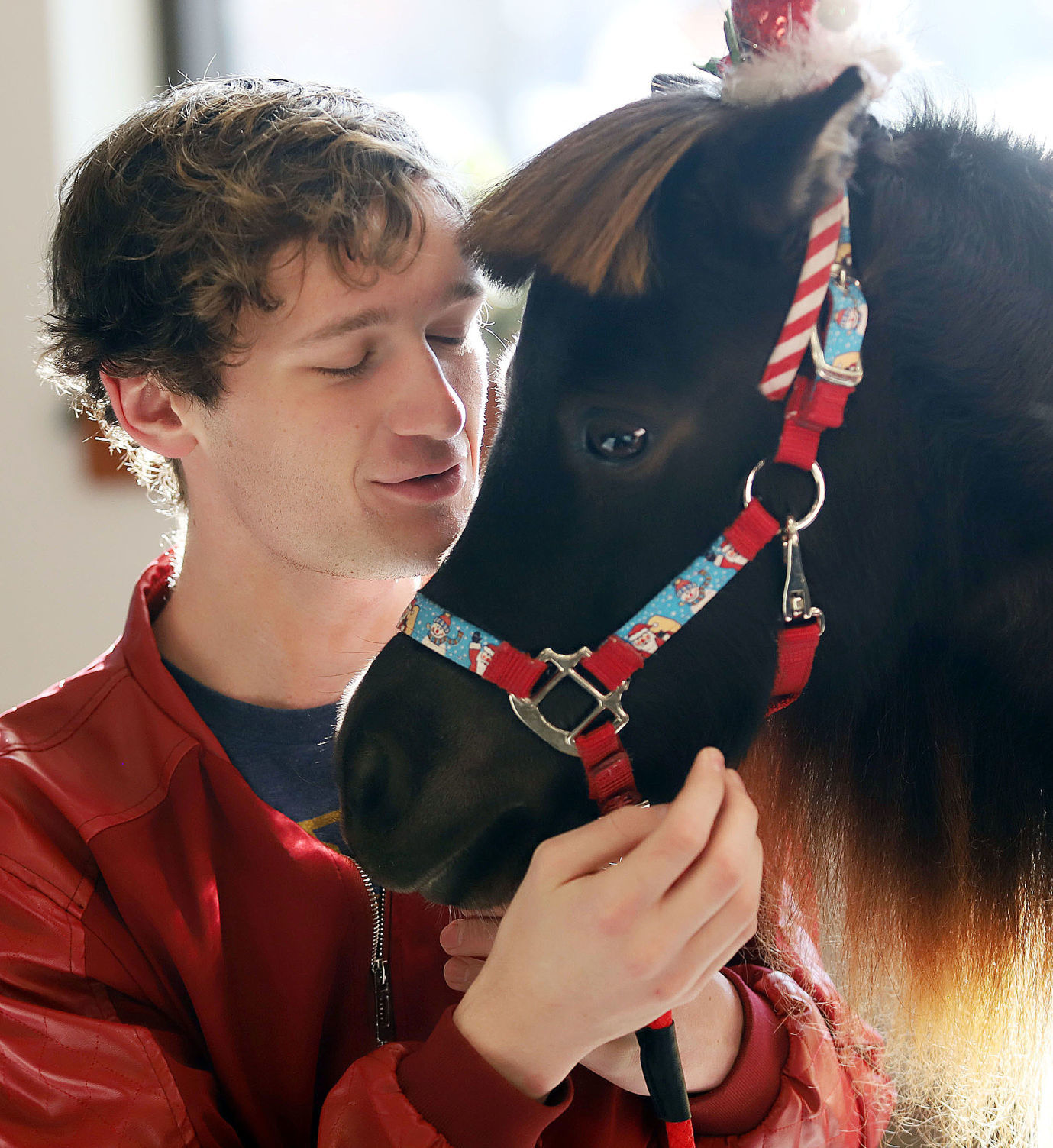 mini therapy horses 23 12.12.18.jpg